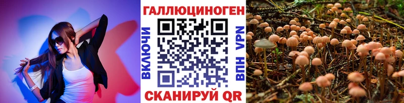 Псилоцибиновые грибы мухоморы  darknet телеграм  Новоалтайск  гидра вход 