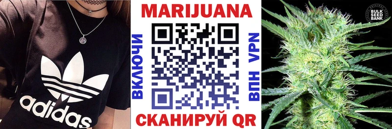 наркошоп блэк спрут как войти Канабис White Widow Новоалтайск